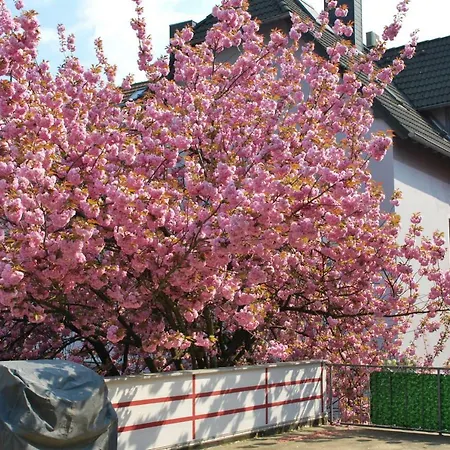 Am Sportpark Duisburg