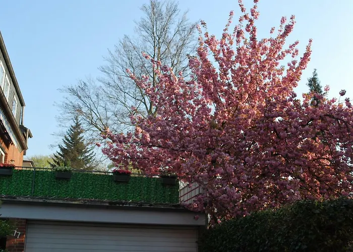 Ξενοδοχείο Am Sportpark Ντούισμπουργκ