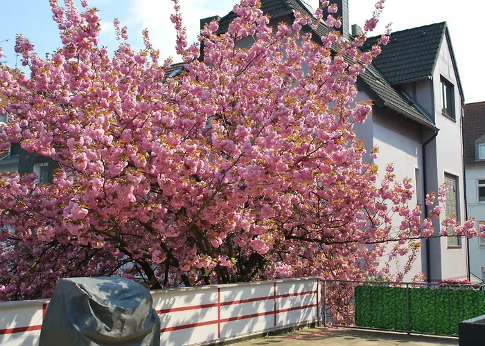 Am Sportpark Duisburg